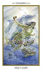 Page of Cups - Tangorea