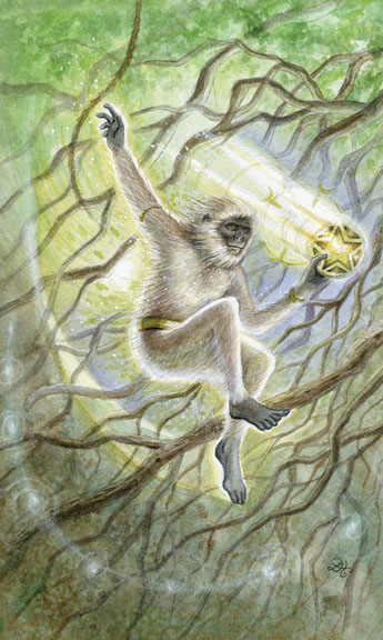 Page of Pentacles - Hanuman