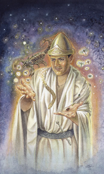 Page of Wands - Sadrapa