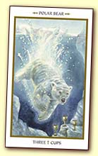 News about the Animals Divine Tarot