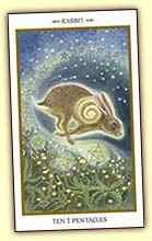 Animals Divine Tarot Lisa Hunt