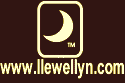 Click here to purchase the Animals Divine Tarot kit directly from Llewellyn